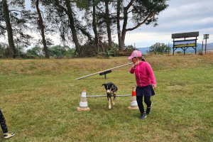 Schulhund Trixie