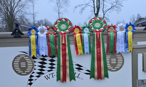 CACIB V&auml;xj&ouml;