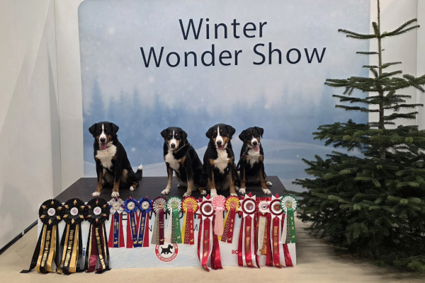 erfolgreiche Appenzellergang