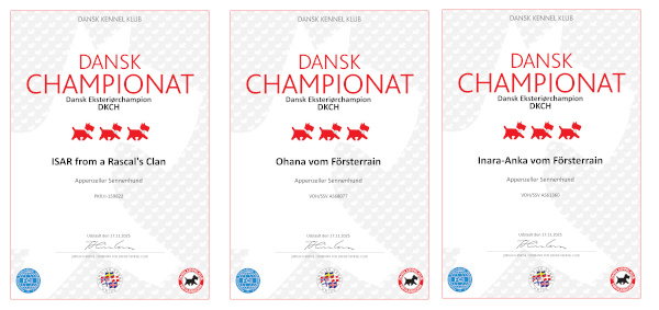 3 mal d&auml;nsicher Champion