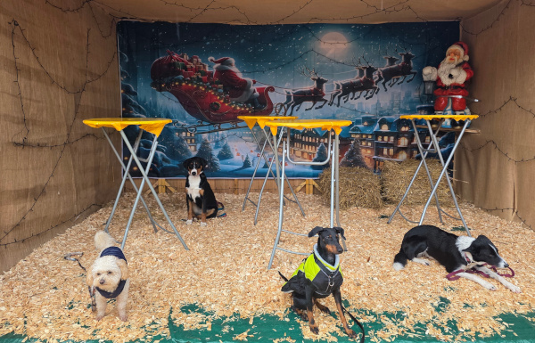 Besuch auf dem Weihnachtsmarkt